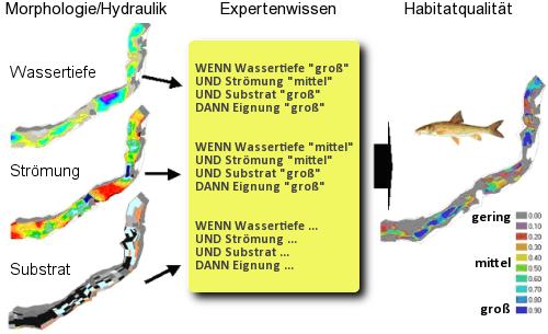 picture of fish habitat simulation using casimir