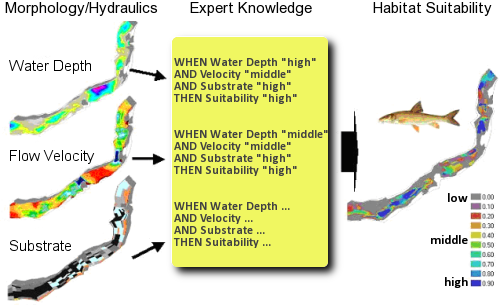 picture of fish habitat simulation using casimir